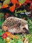 Preview: Entdecke die Igel